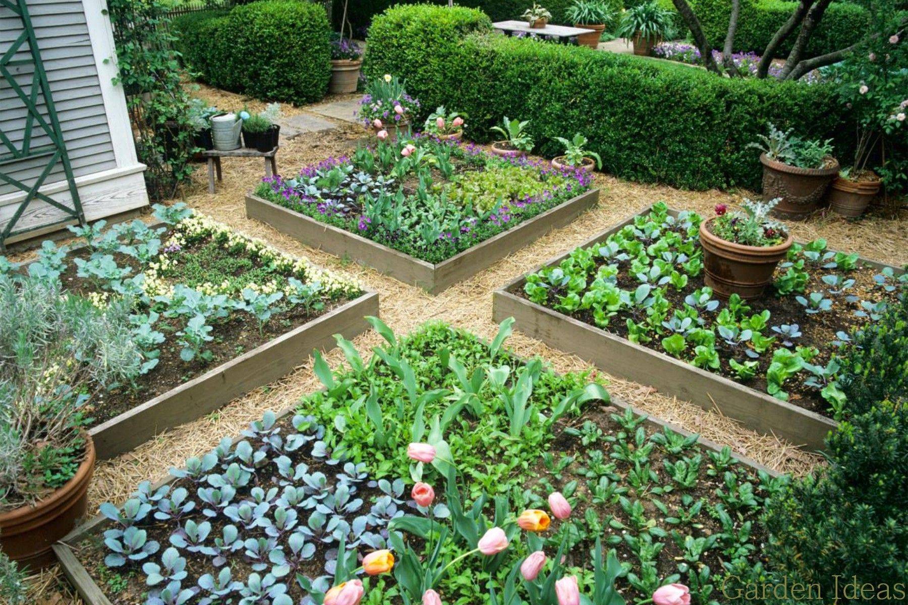 Modern Small Vegetable Garden Ideas