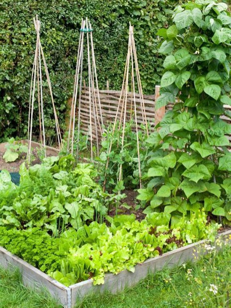 Container Gardening Vegetables