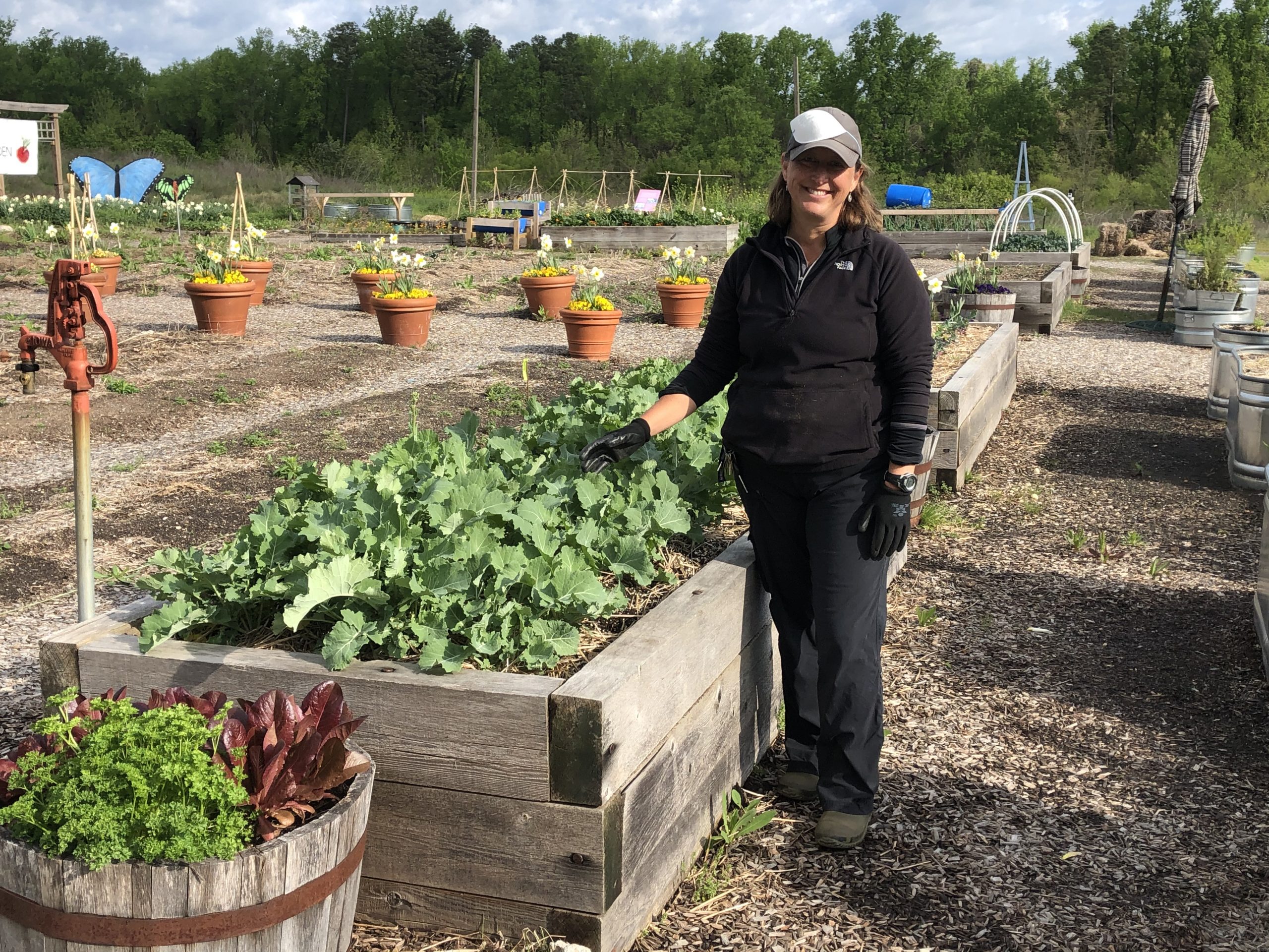 Your Own Vegetable Garden Vegetable Garden