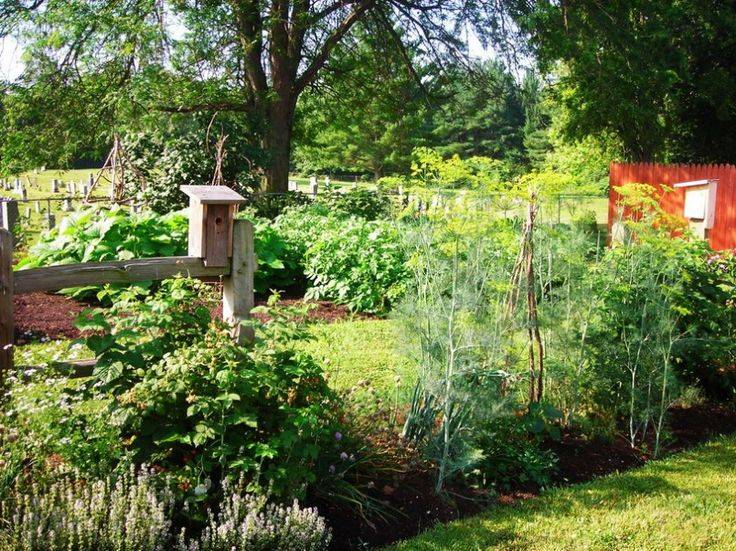 Creative Vegetable Garden Ideas