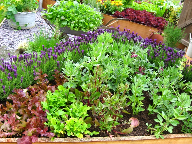 Cute Vegetable Garden Decoration Ideas