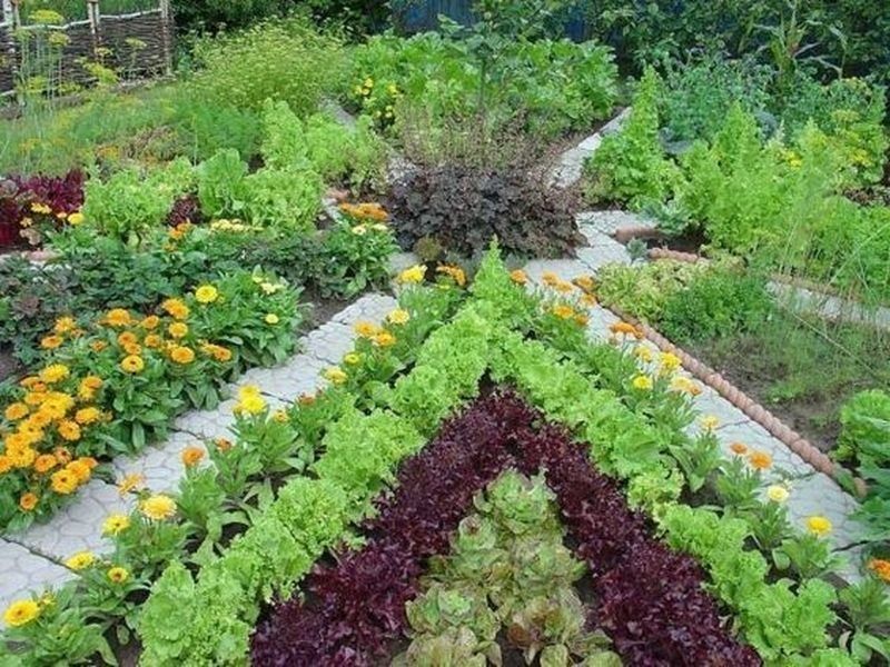 Garden Vegetable Garden