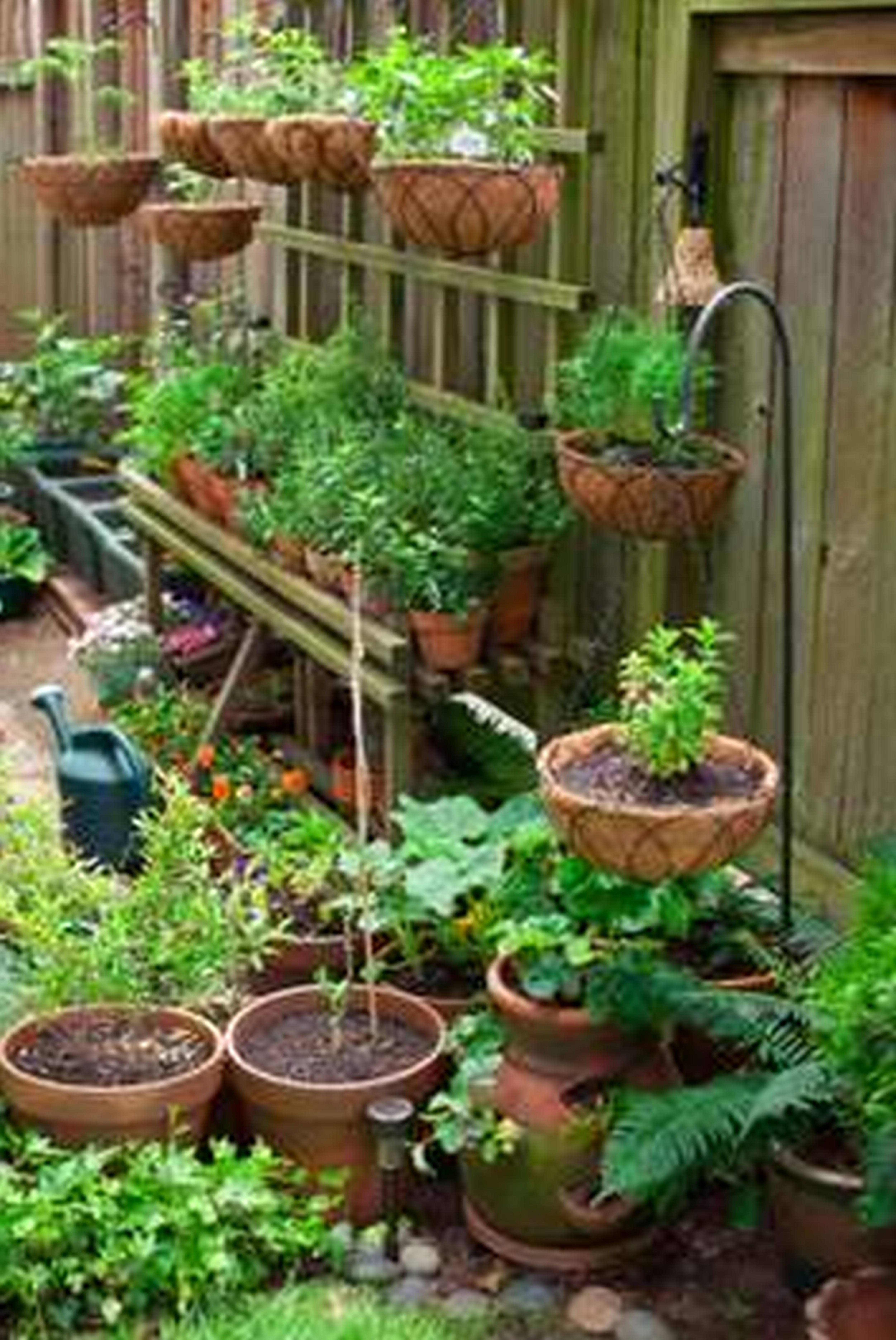 These Garden Layout Ideas