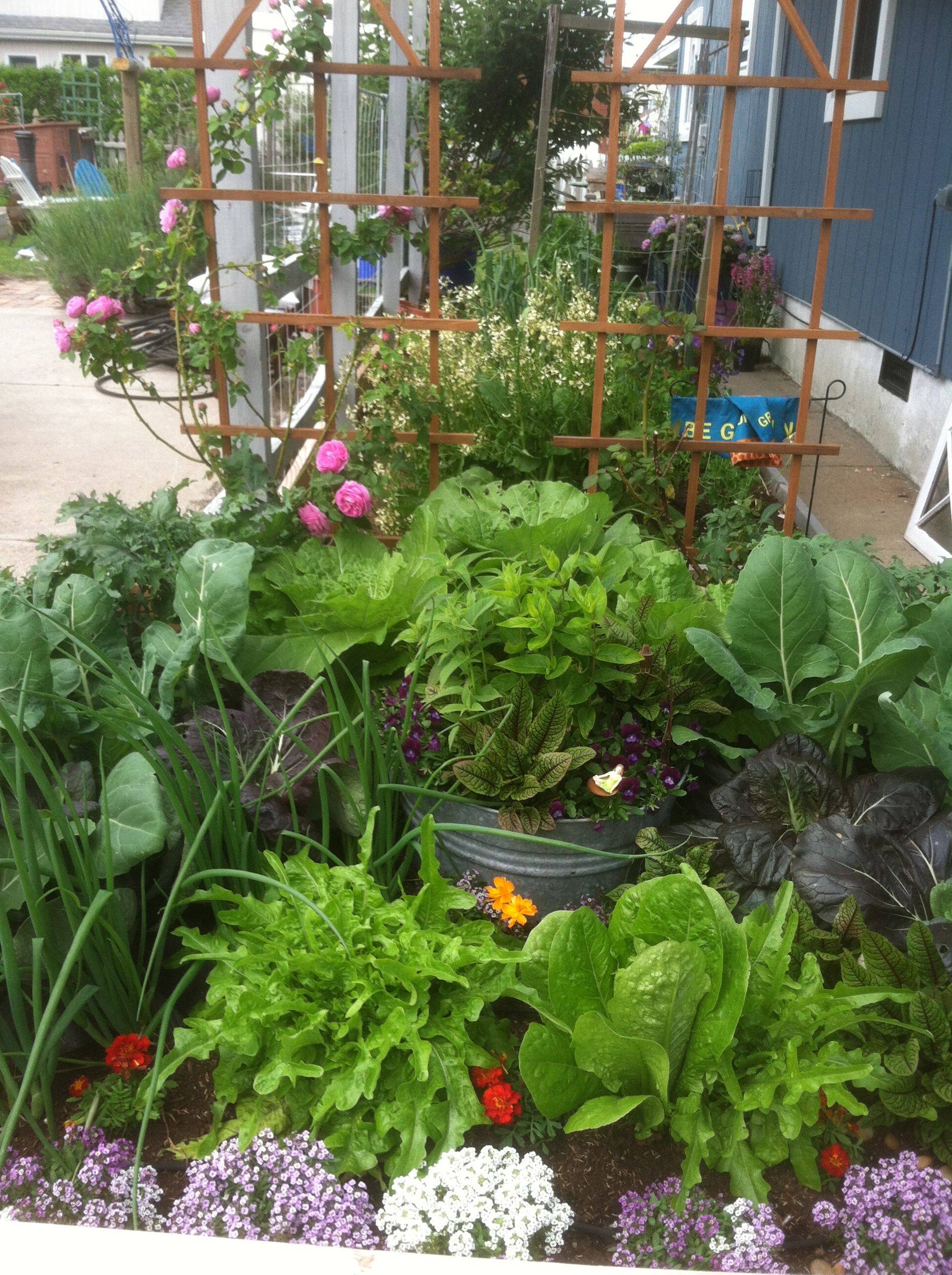 Interesting Vegetable Garden Ideas