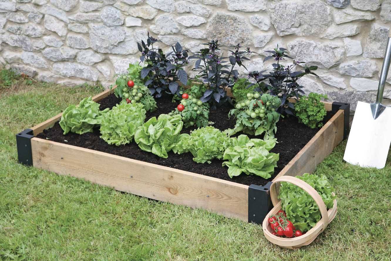 Edible Garden Layout Ideas Outdoor Decor Ideas