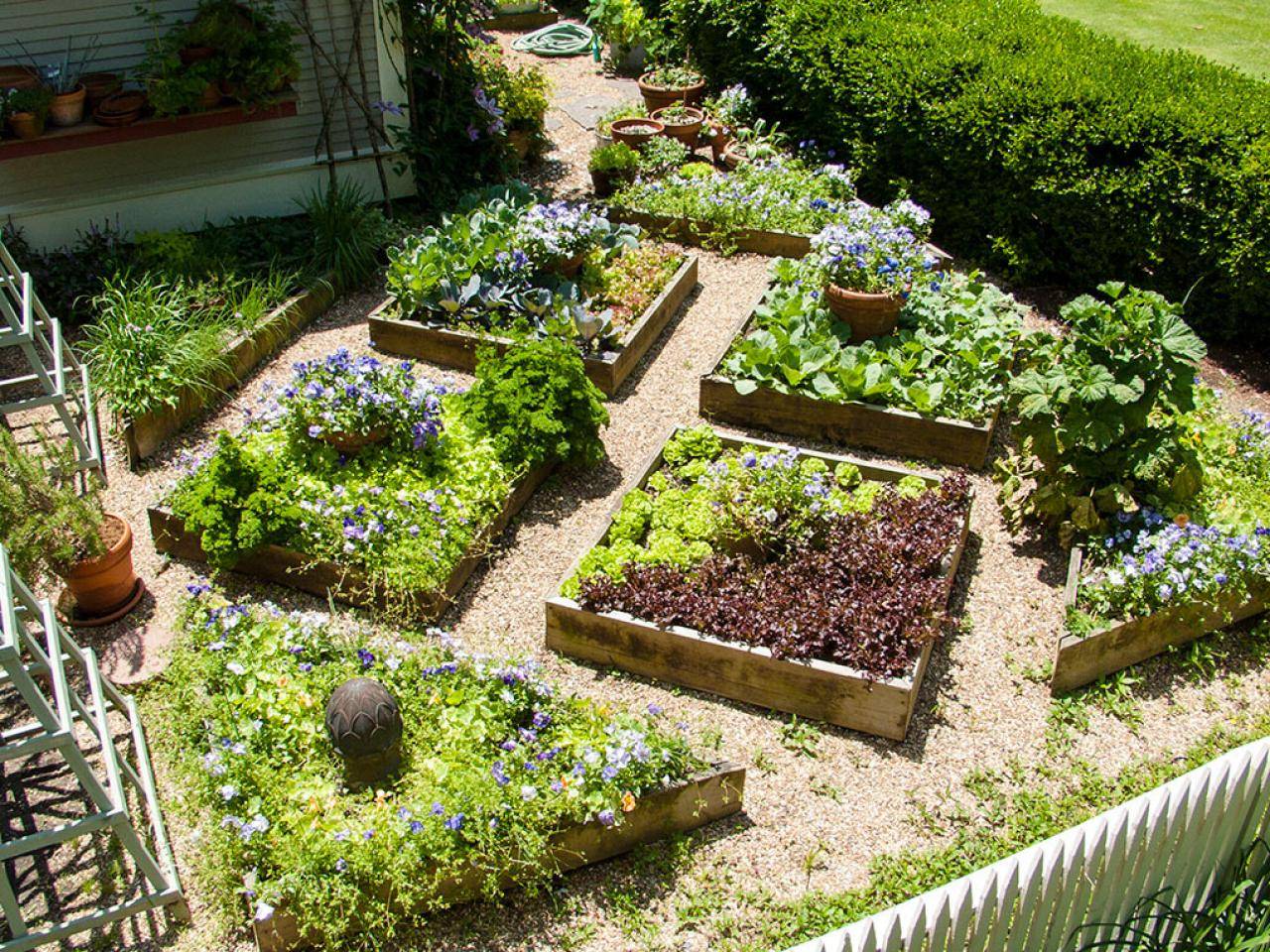 Edible Garden Layout Ideas Outdoor Decor Ideas