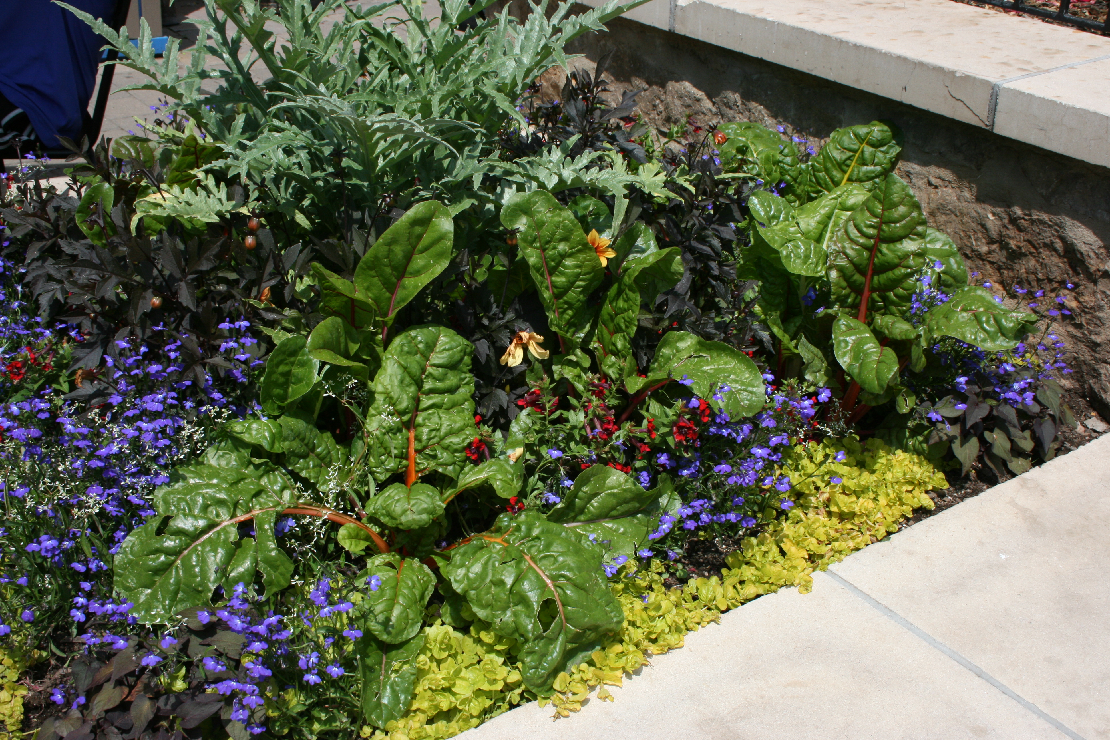 An Edible Landscape Clickhowto