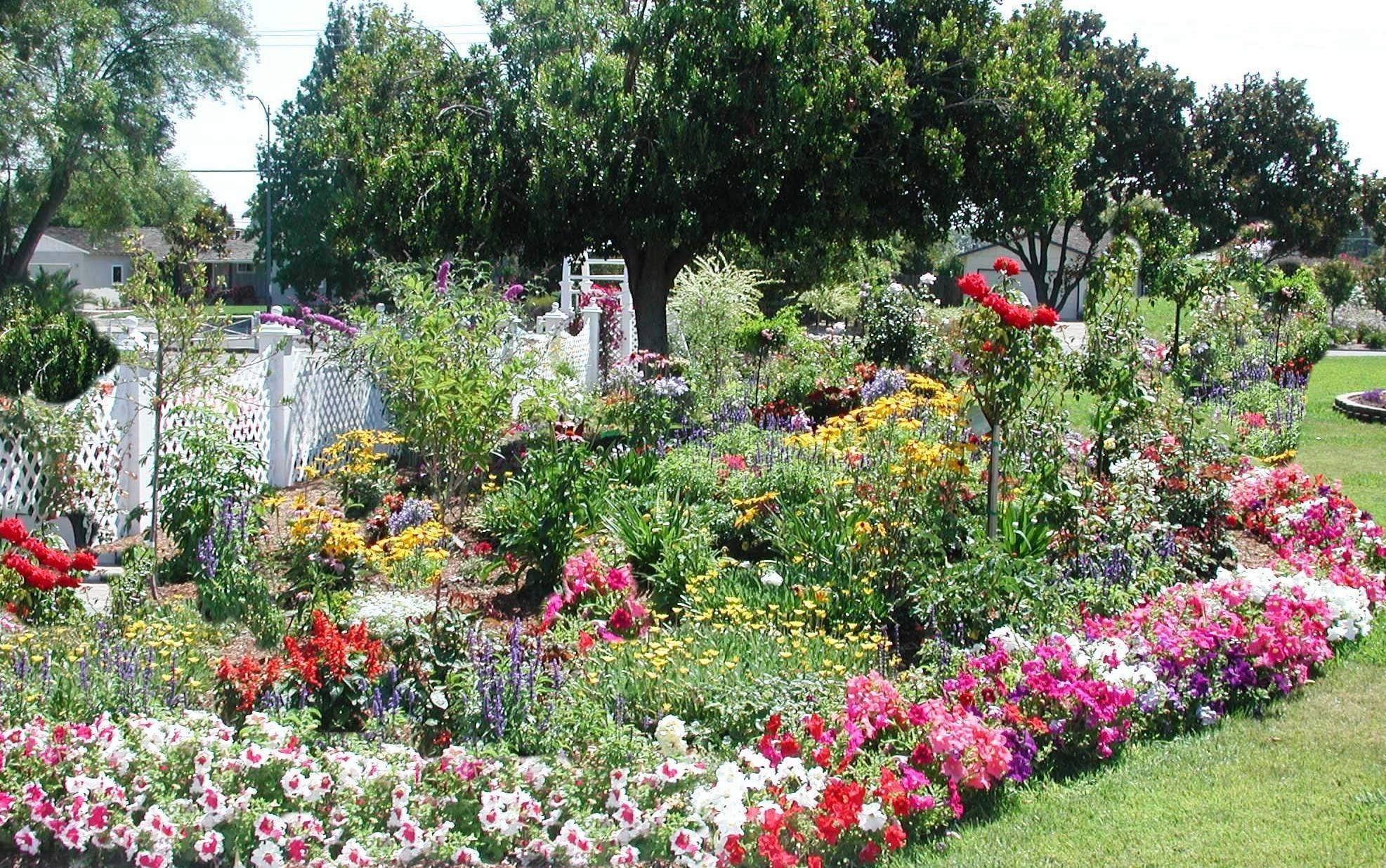 Cheap Flower Garden Ideas