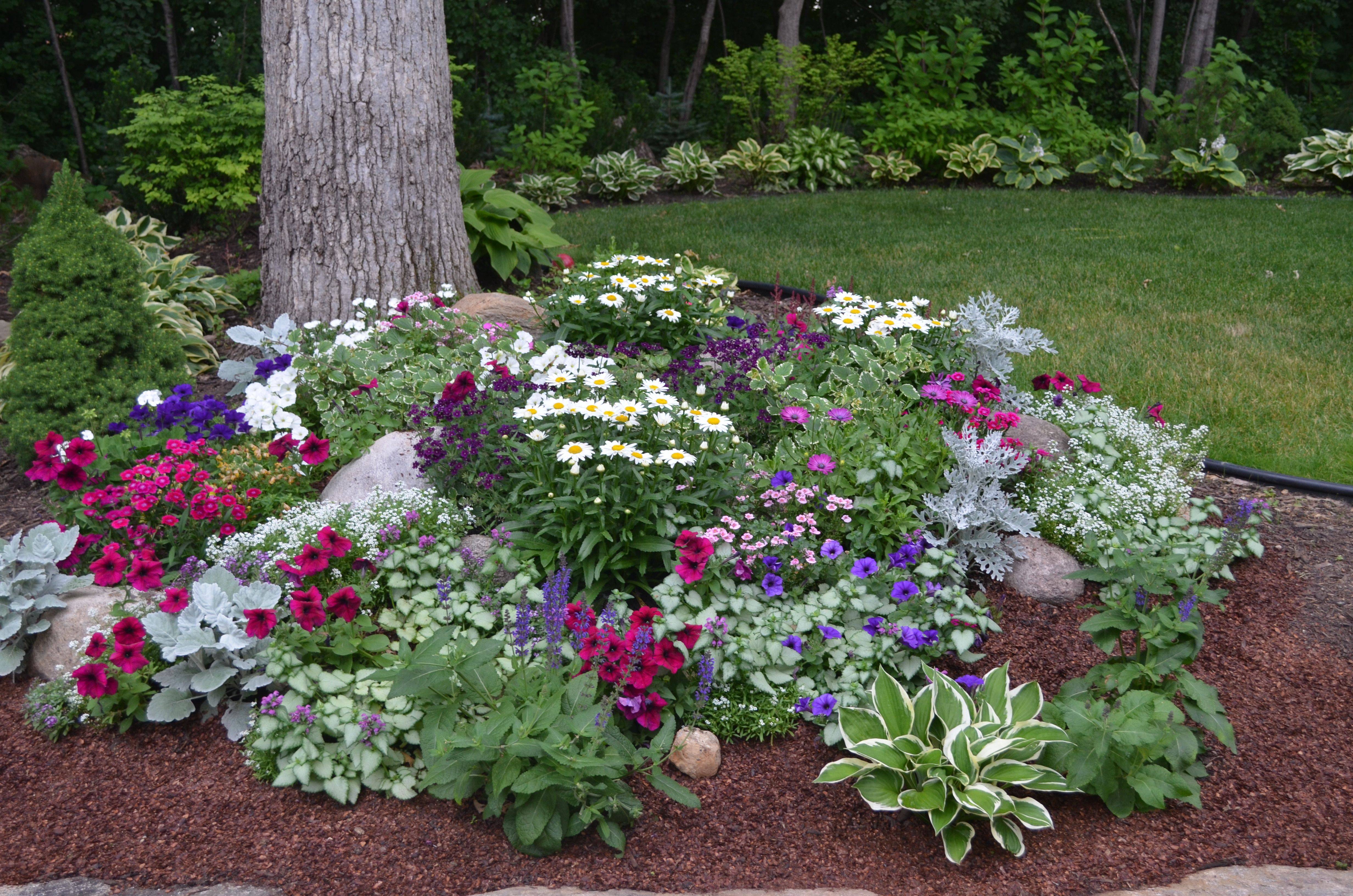 Photograph Overflowing Flowe