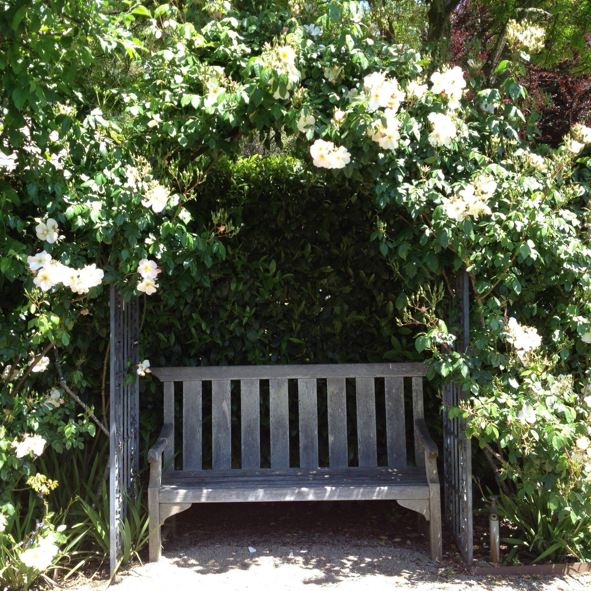 Simple And Inviting Diy Outdoor Bench Ideas