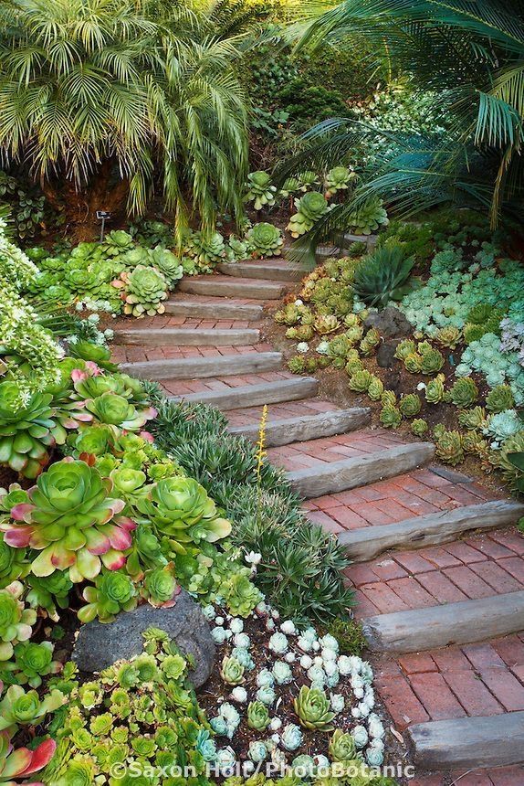 Rustic Garden Path