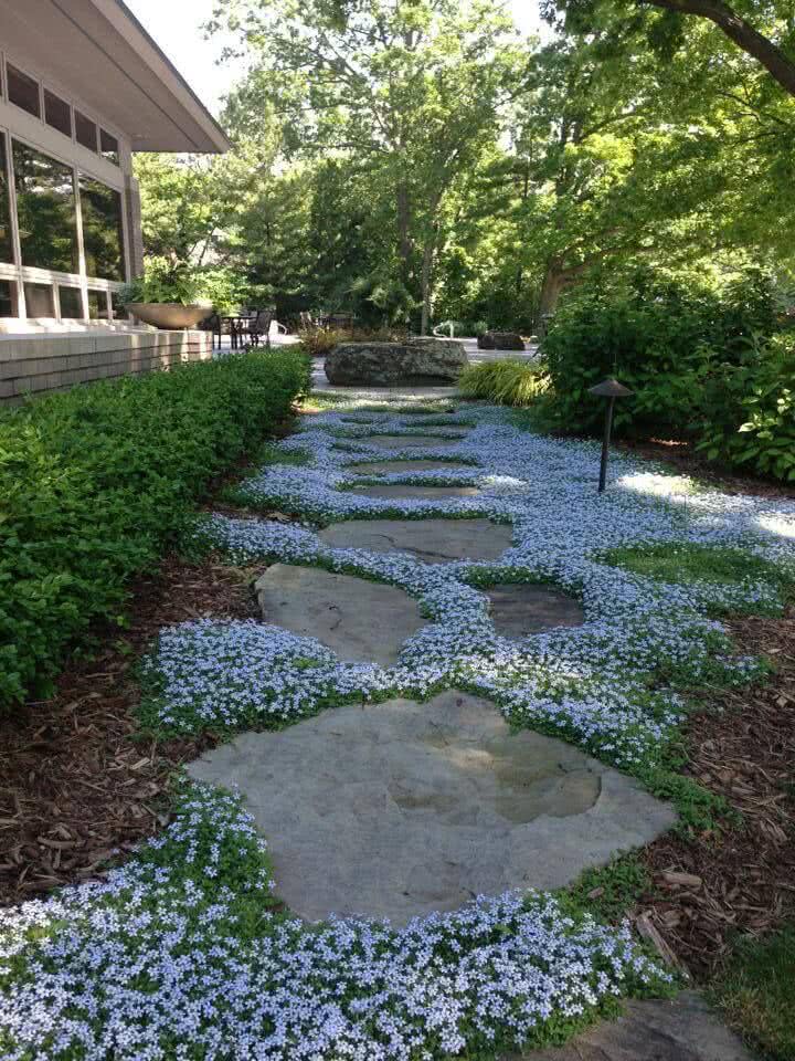Beautiful Backyard Garden Path