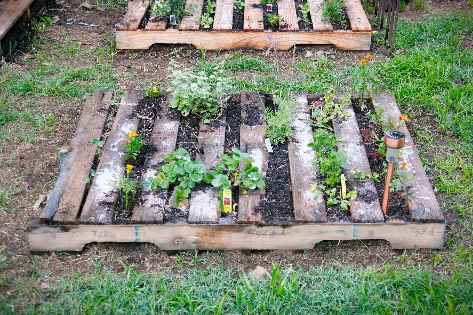 Vertical Pallet Garden Ideas