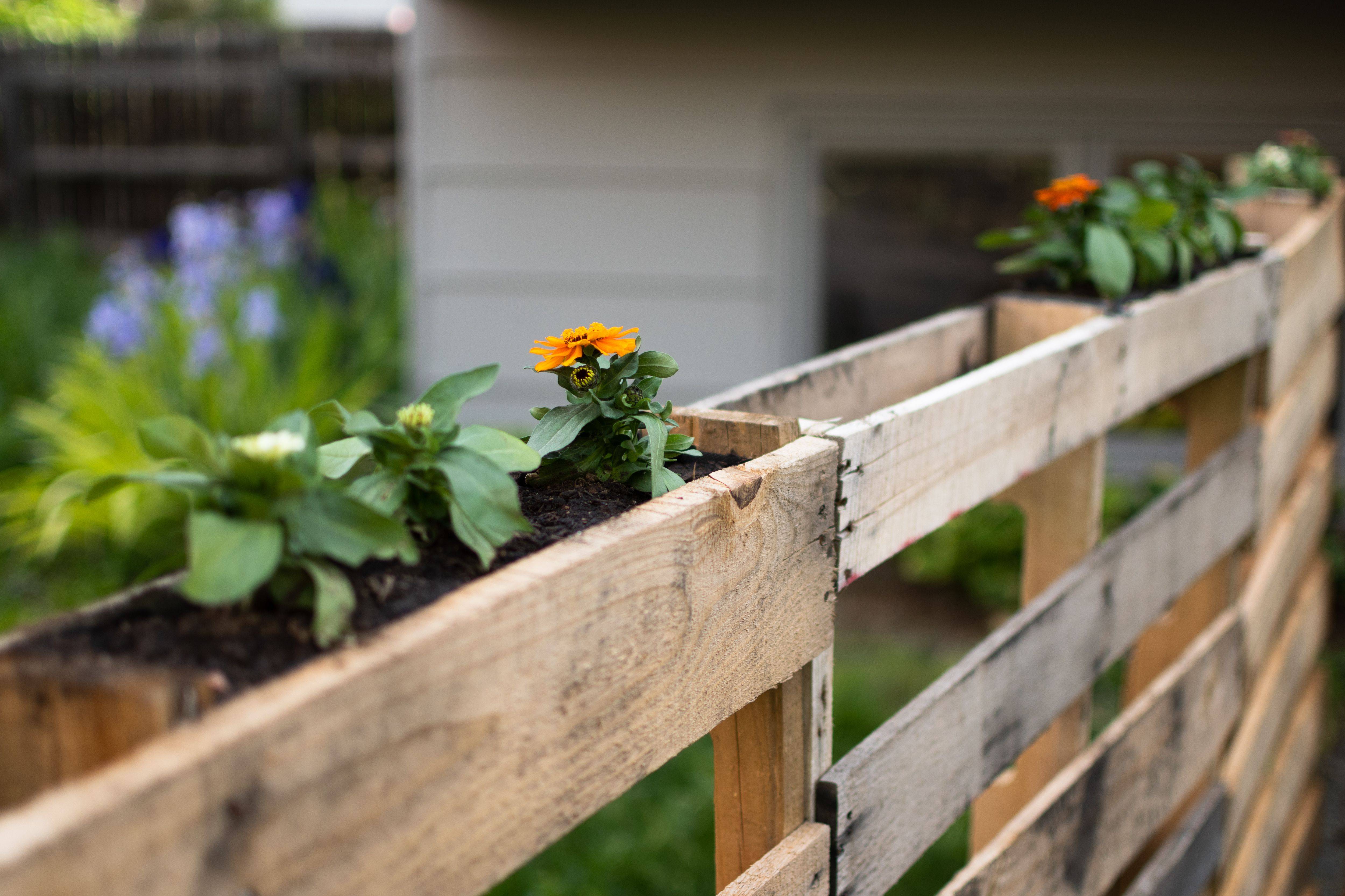 Spectacular Recycled Wood Pallet Garden Ideas