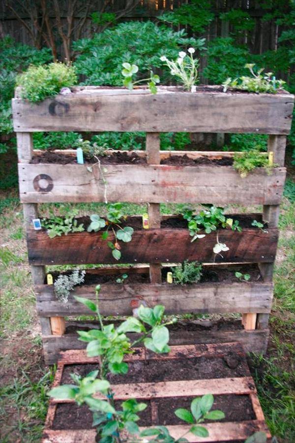 Vertical Pallet Garden Ideas