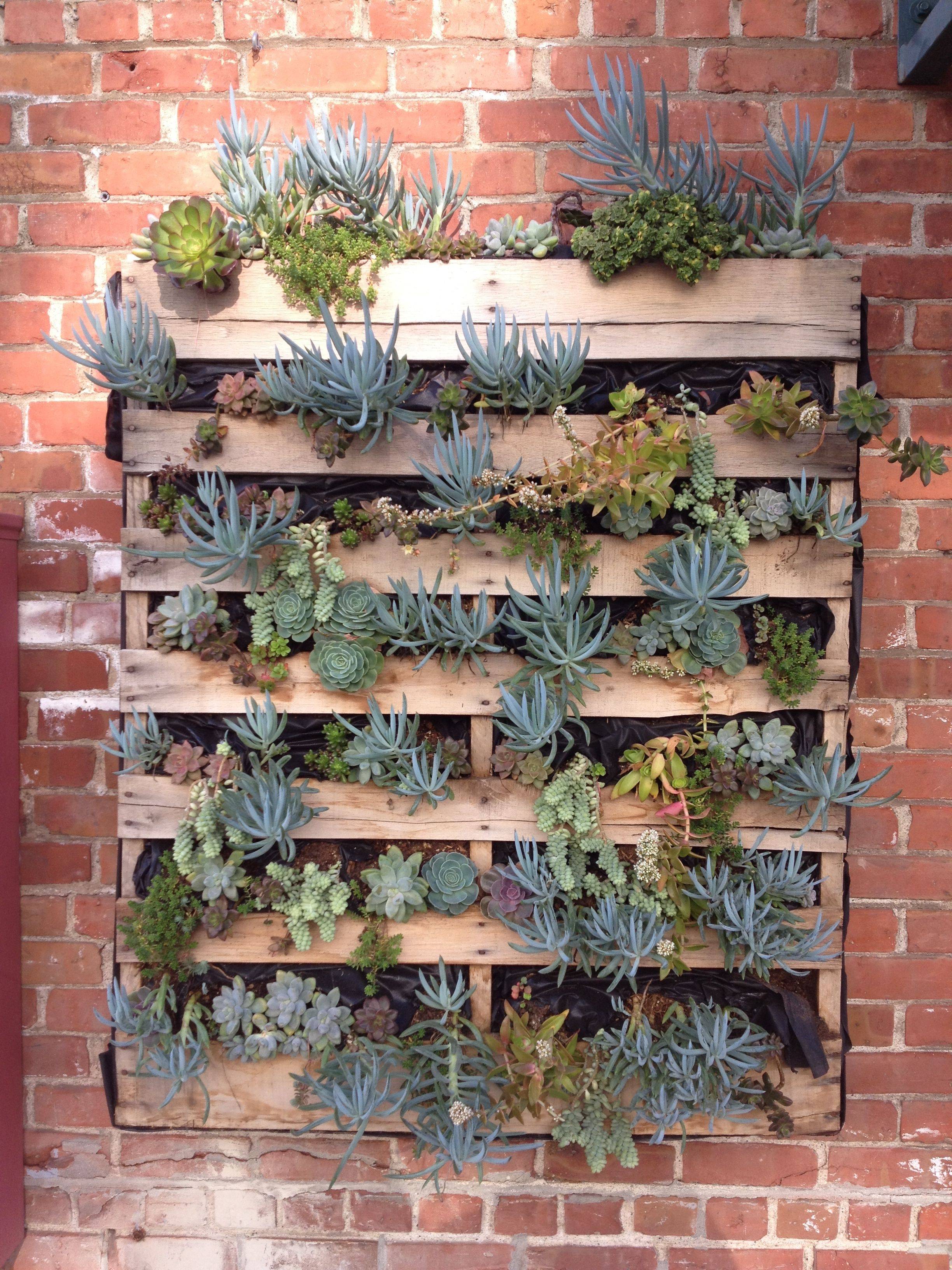 Gorgeous Vertical Garden Ideas