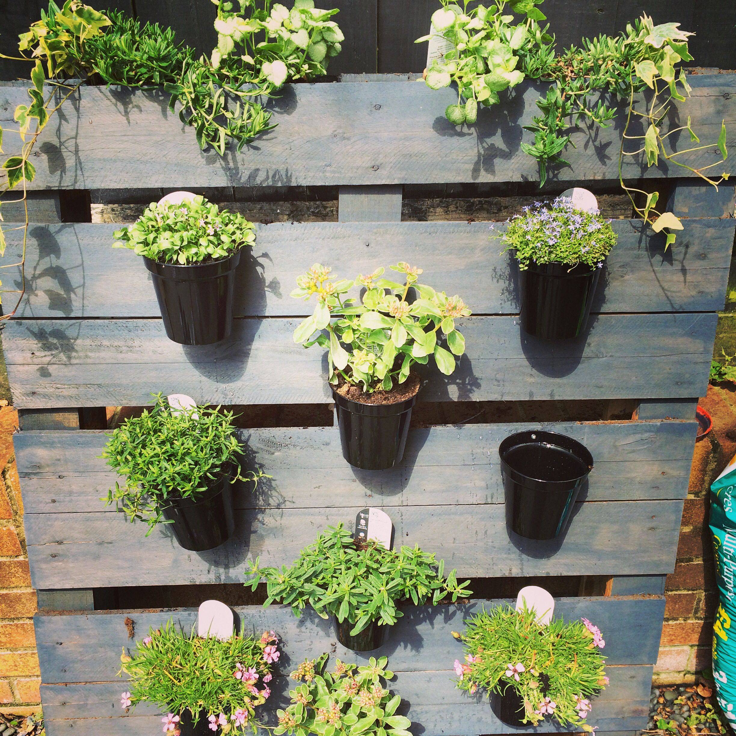 Gorgeous Diy Garden Pallet Projcets Ideas Decortutorcom