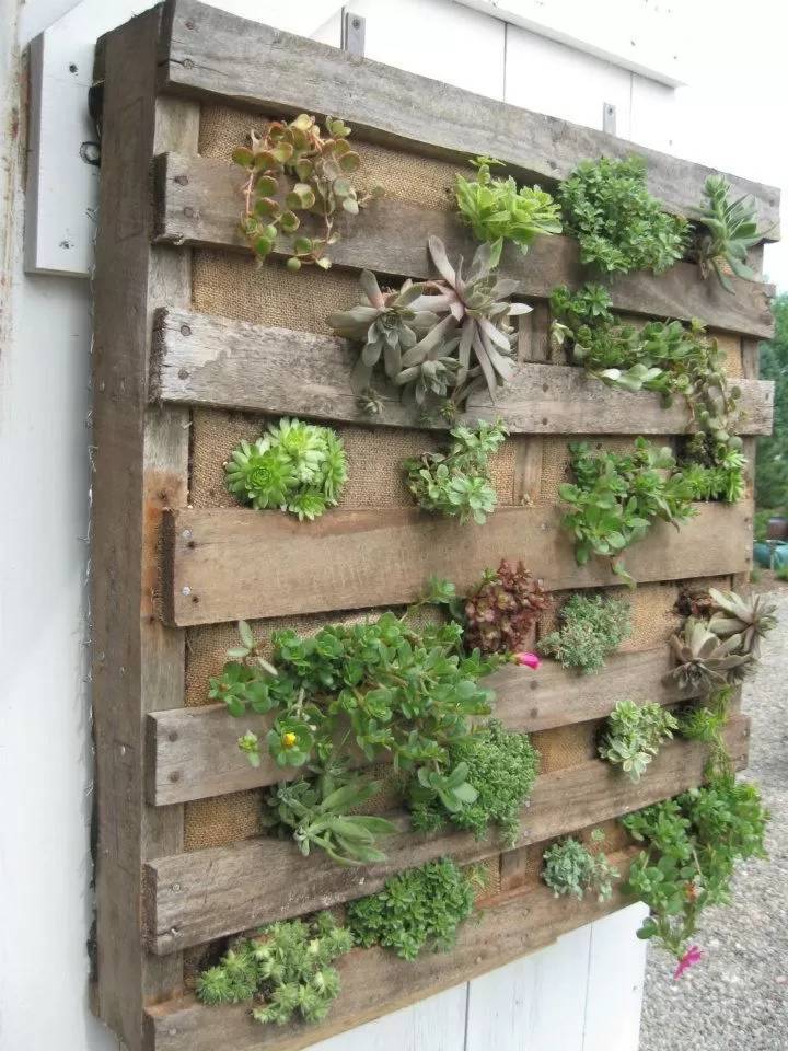 Creative Living Wall Planter Ideas