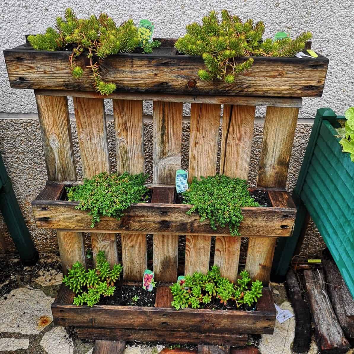 Spectacular Recycled Wood Pallet Garden Ideas