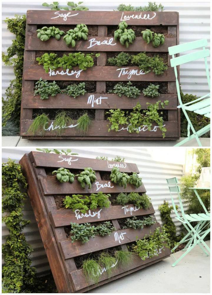 Creative Herb Garden Ideas