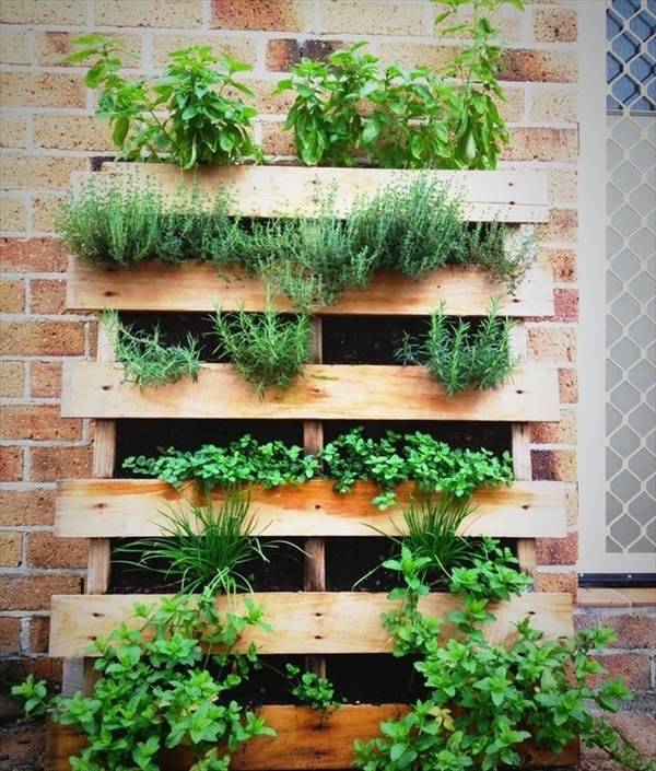 Tall Vertical Wooden Pallet Gardening