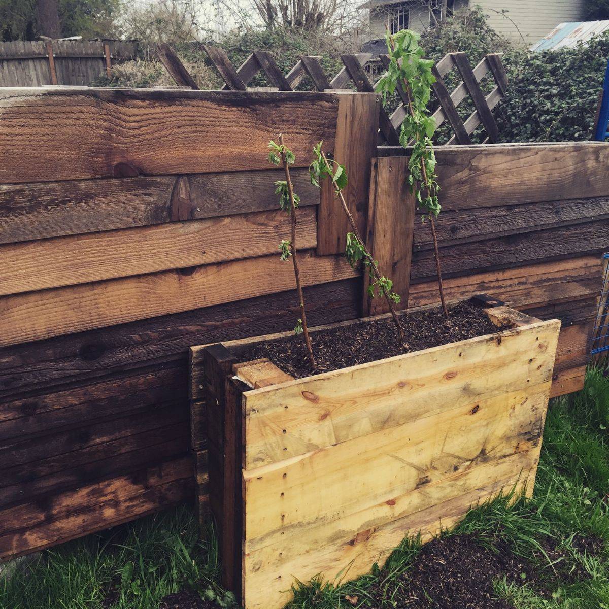 Diy Pallet Garden Raised Flower Bed Ideas Gardens