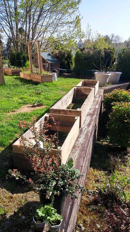 Pallet Raised Garden Bed Ideas