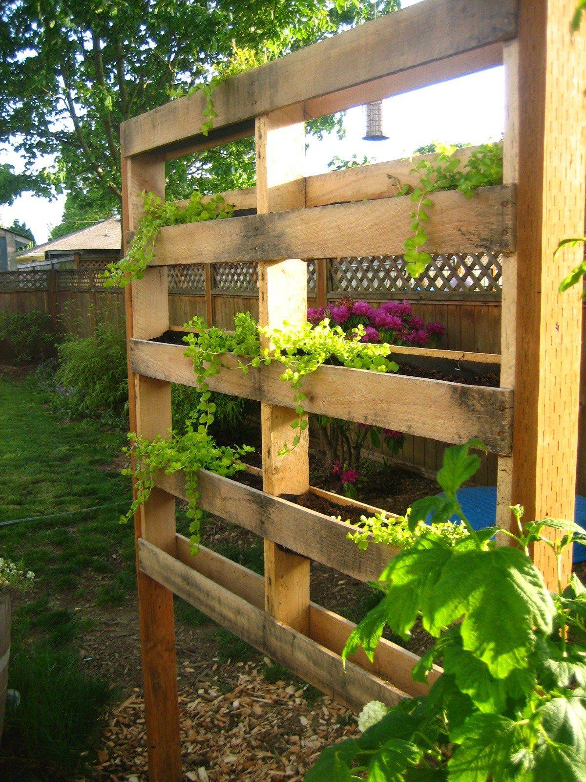 Painted Pallet Projects