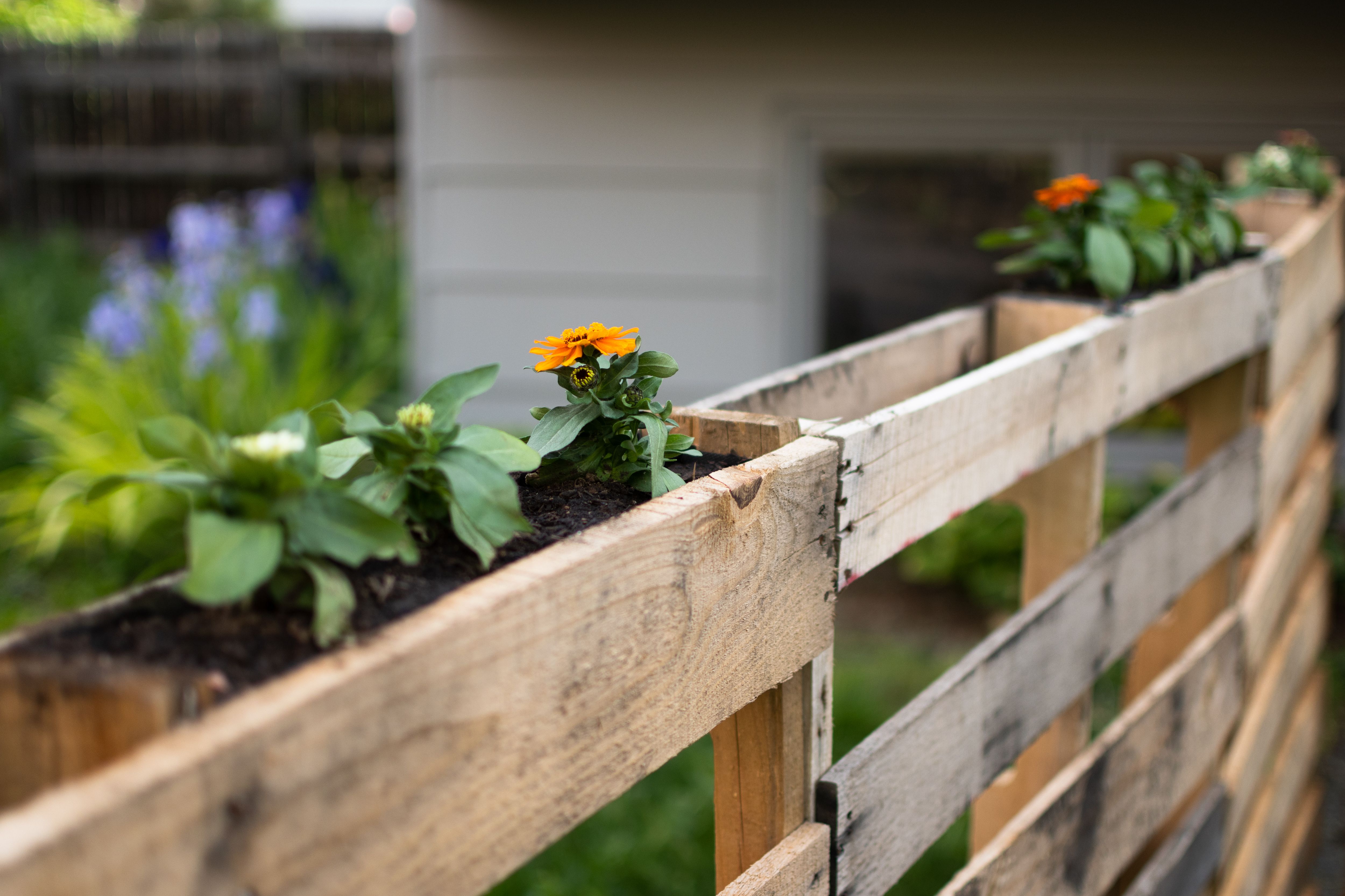 A Planter Pallet Painting
