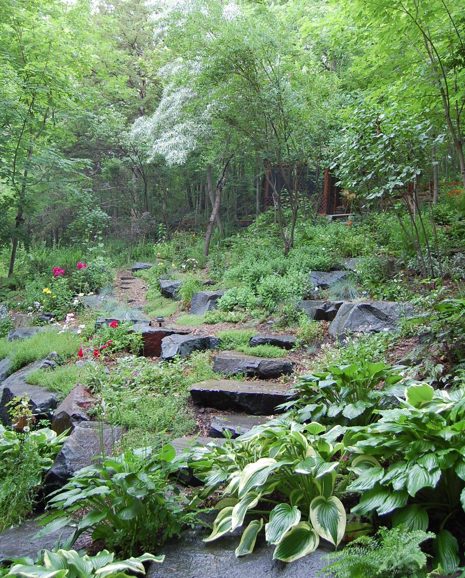 Backyard Woods Landscaping Design Ideas