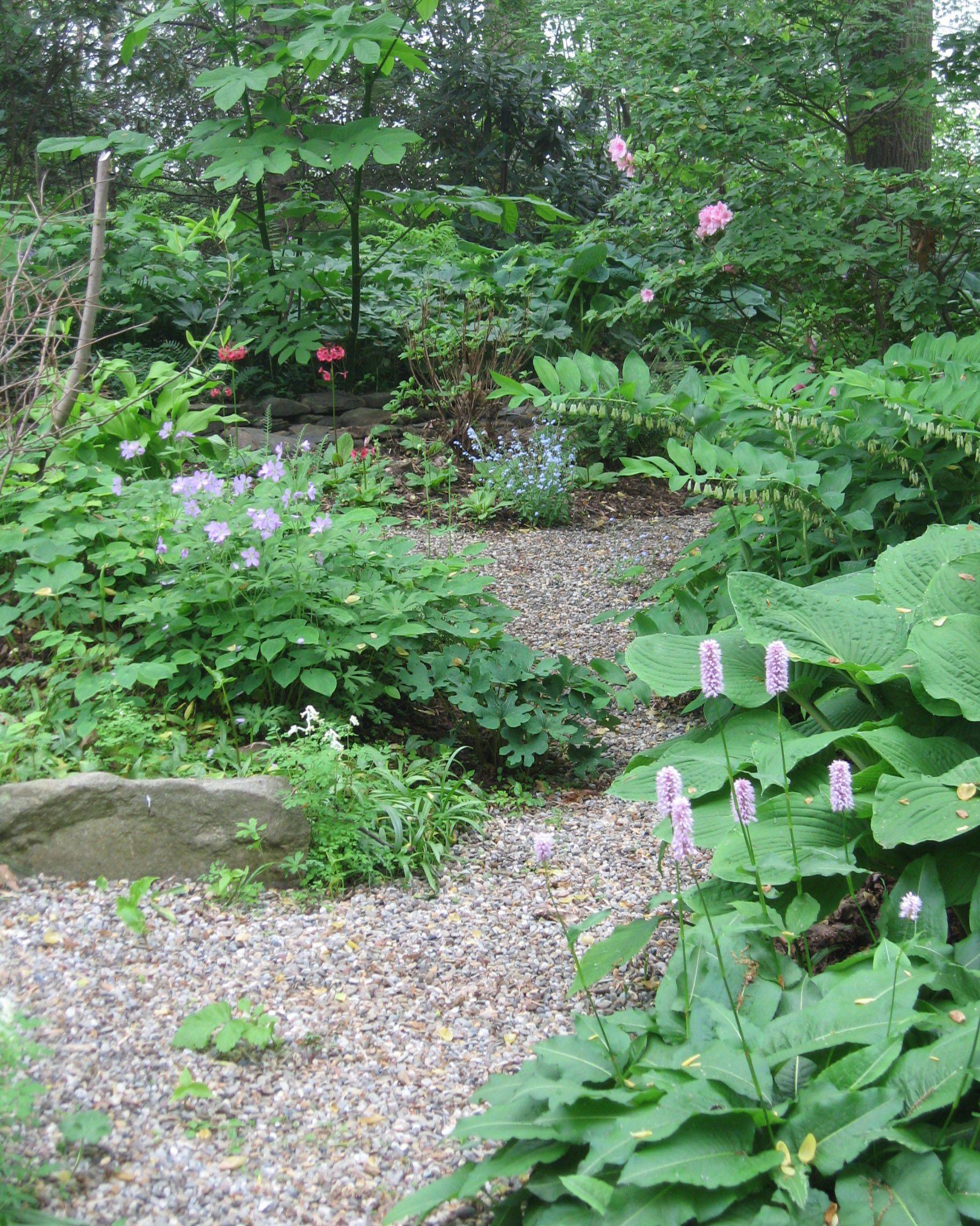 Woodland Garden Design Ideas Minnesota Garden