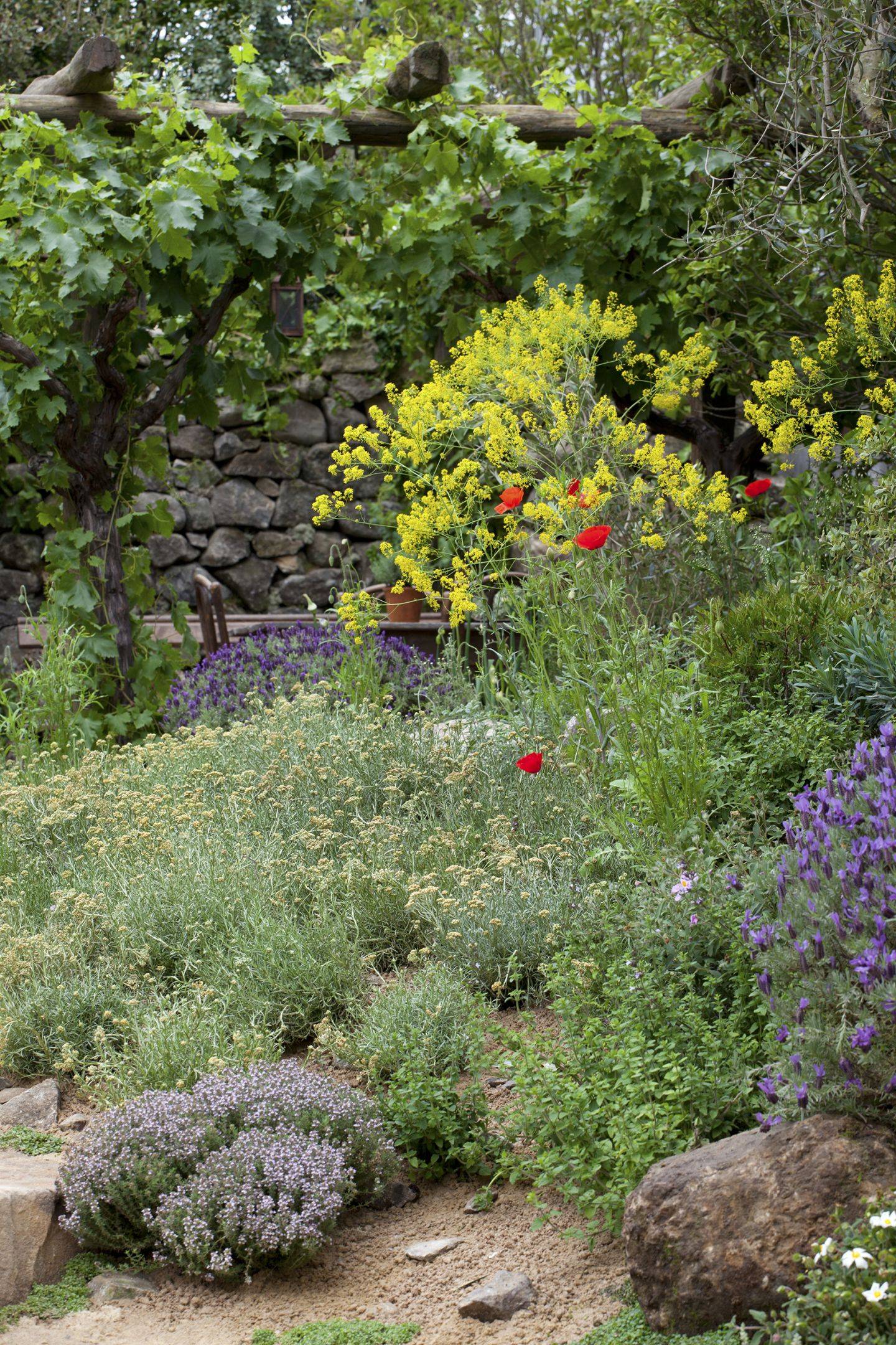 English Country Garden Path