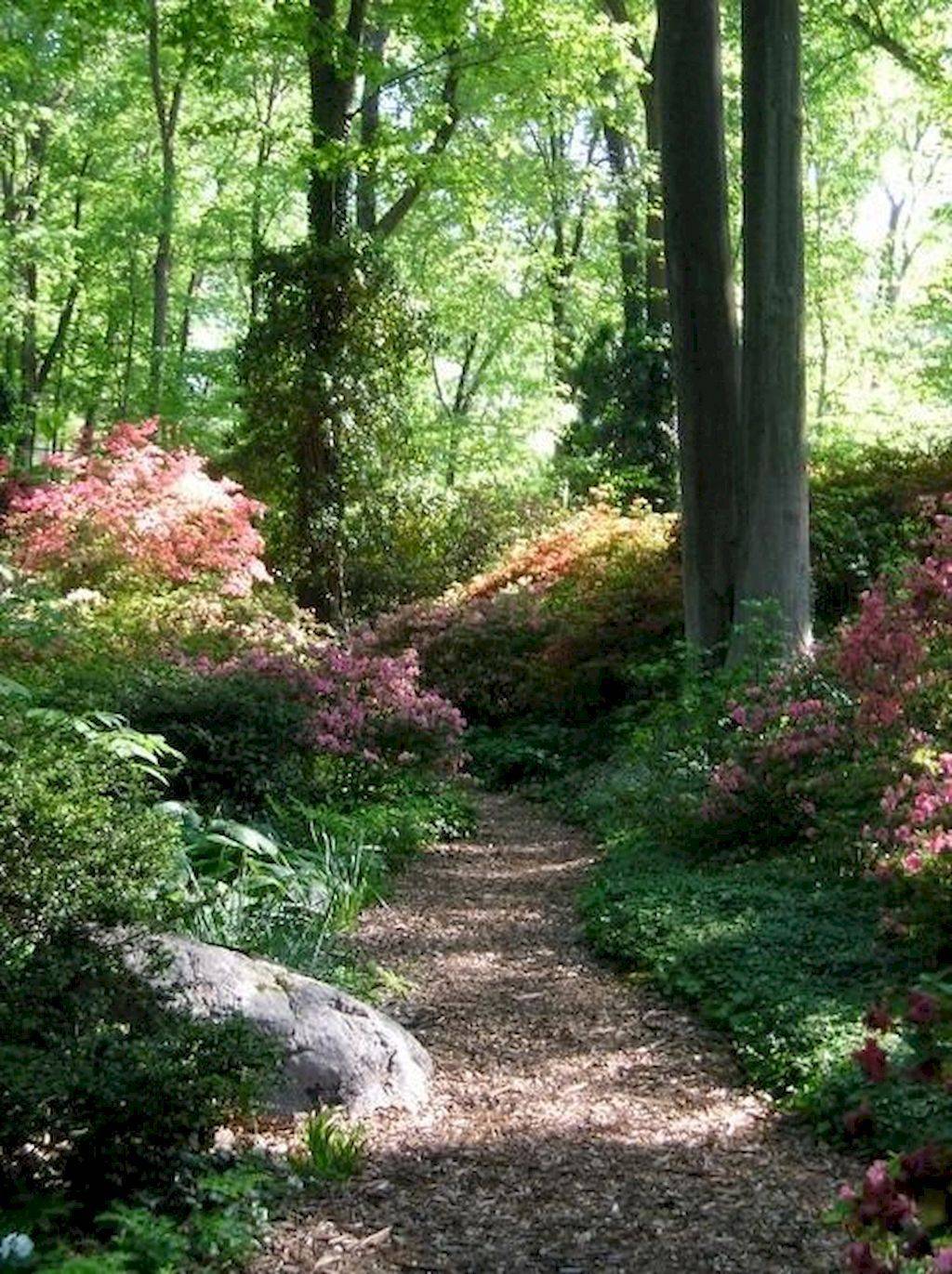 Garden Pathway Woodland Garden