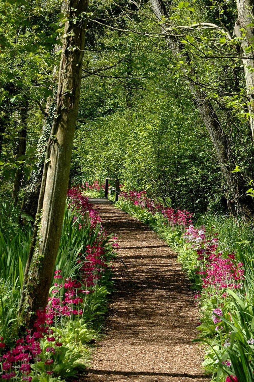 Unusual Garden Path Design Ideas