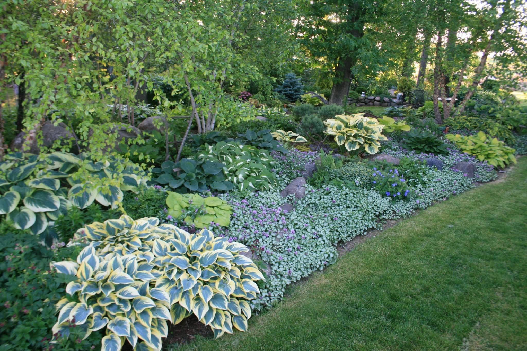 Garden Landscape Design