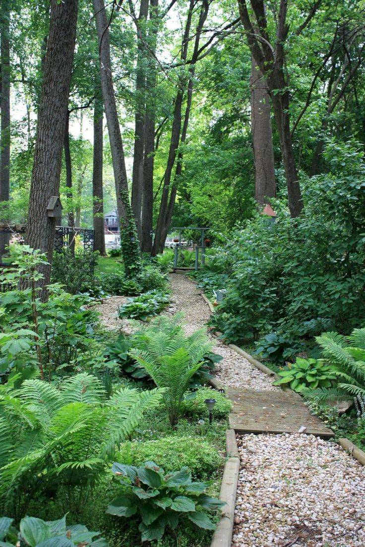 Woodland Garden Design Ideas Minnesota Garden