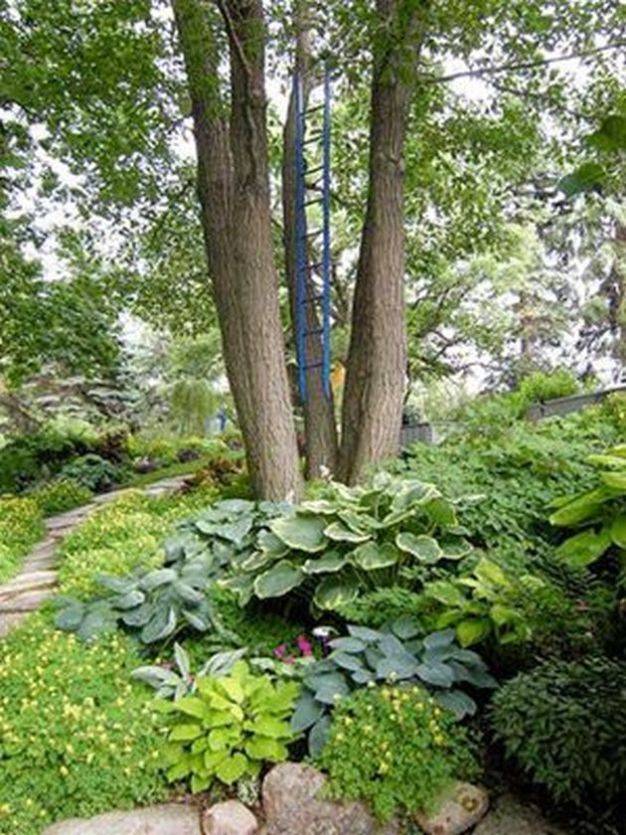 Woodland Garden Landscapes Ideas