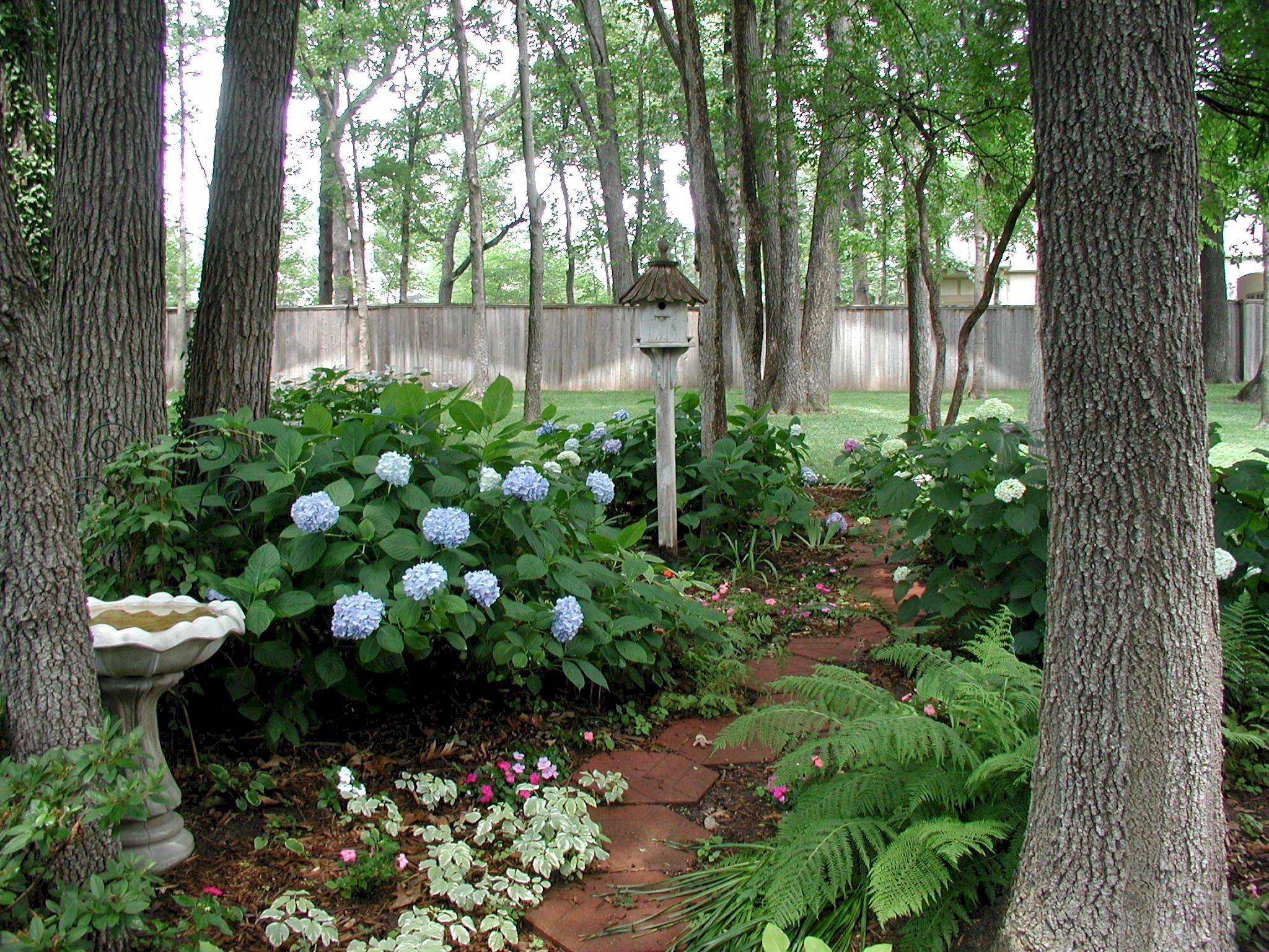 Woodland Shade Garden Plants Shade Garden Design