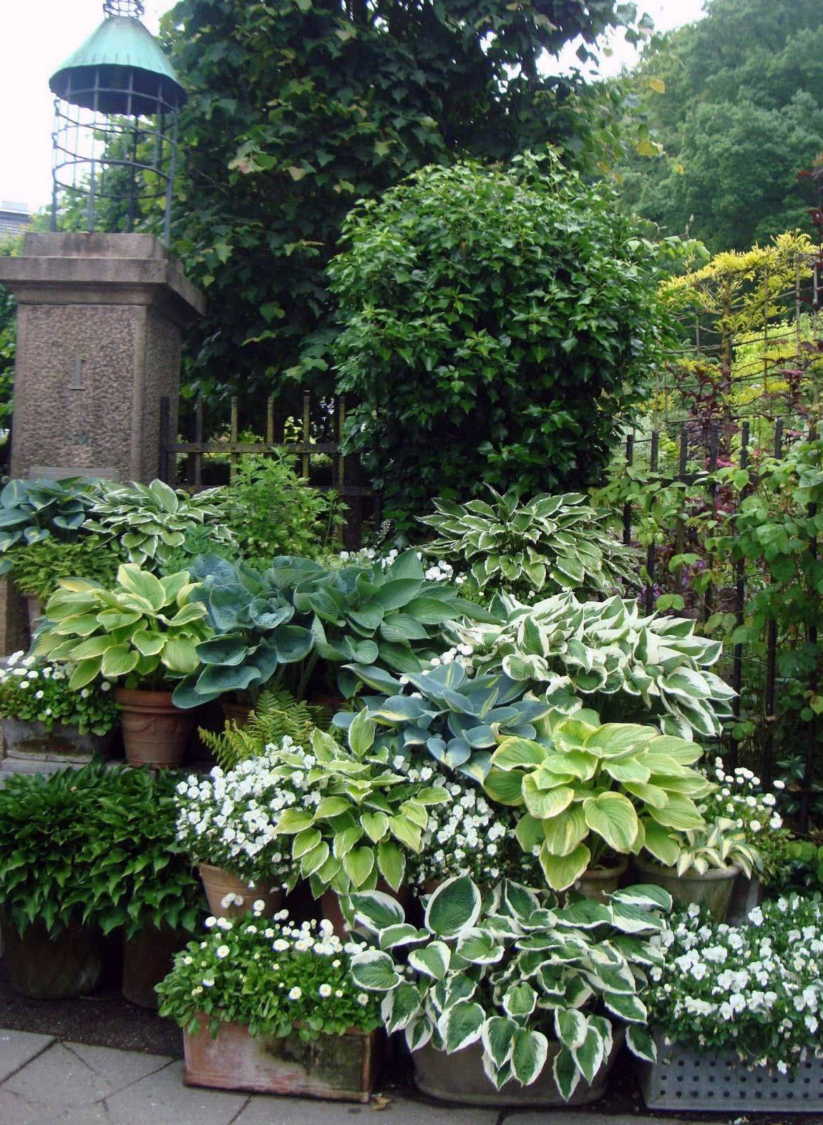 Gorgeous Side Yard Garden Design Ideas