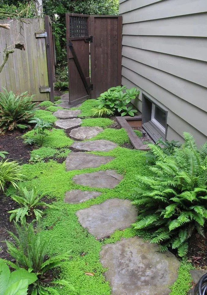 Beautiful Side Yard Garden Path Design Ideas