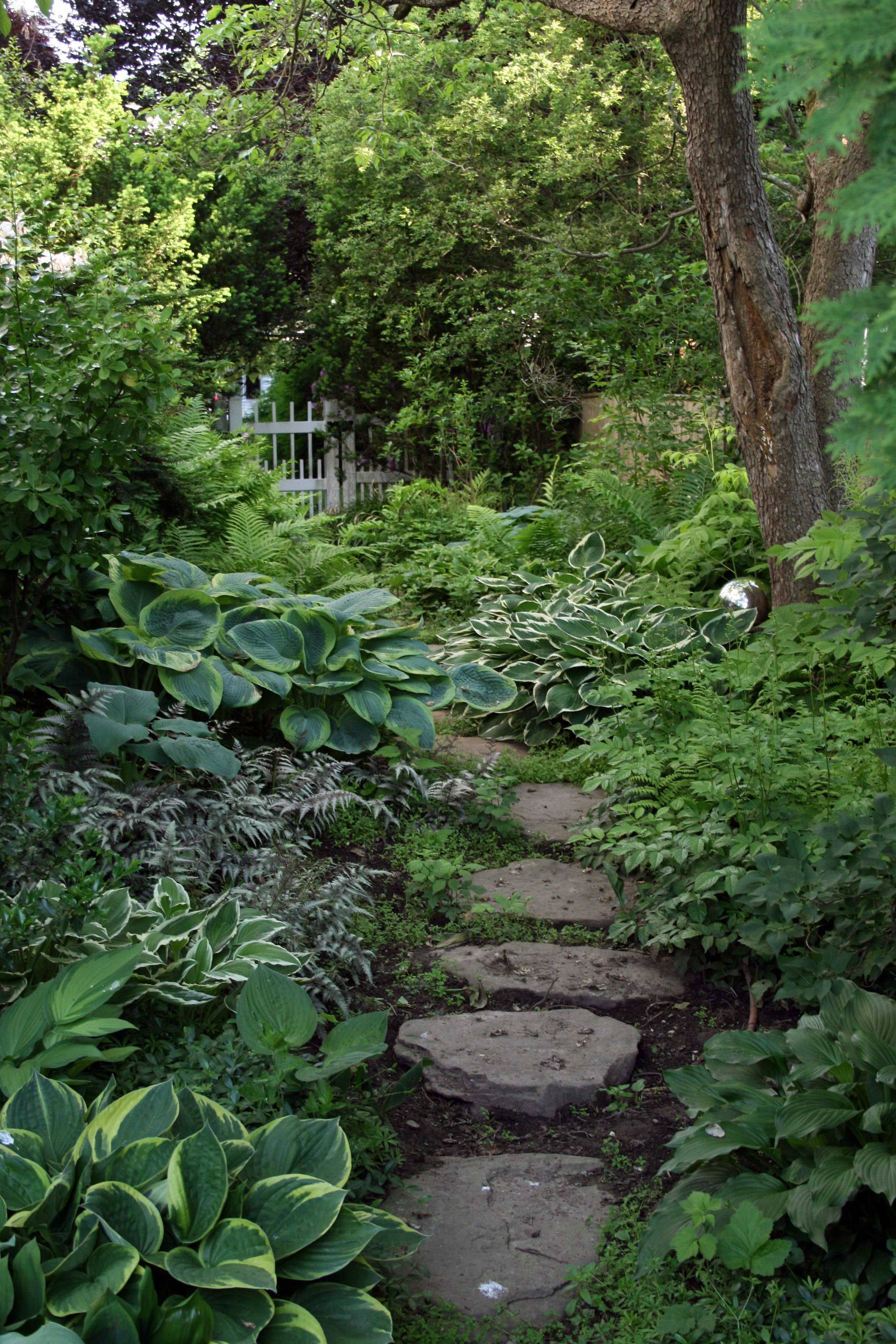 A Shady Side Yard Gretchen Bauer Design