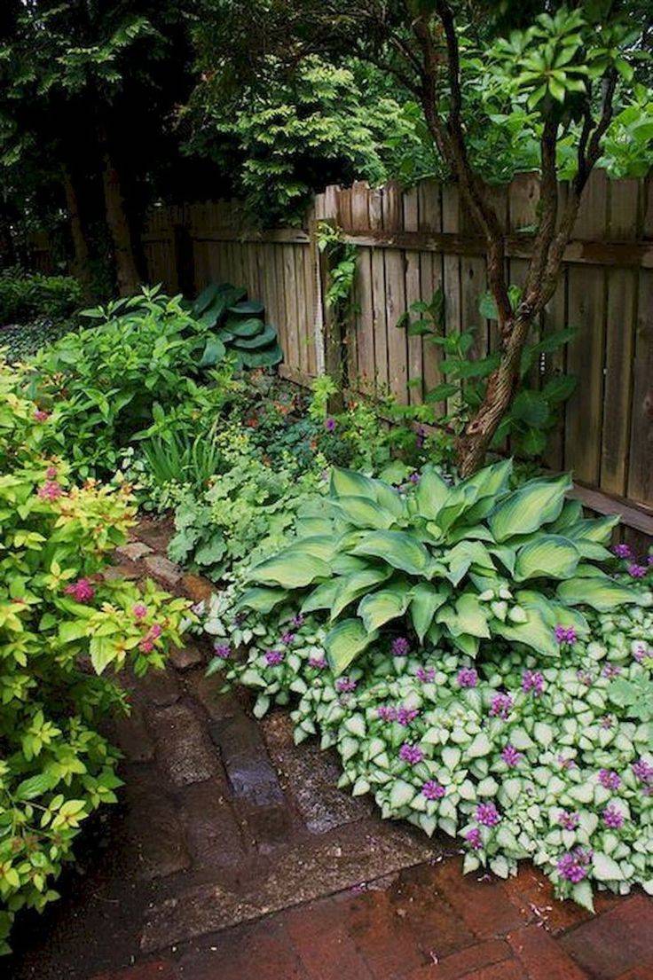 Shady Side Yard Path