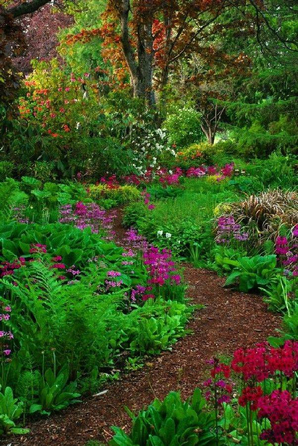 A Woodland Garden Paradise