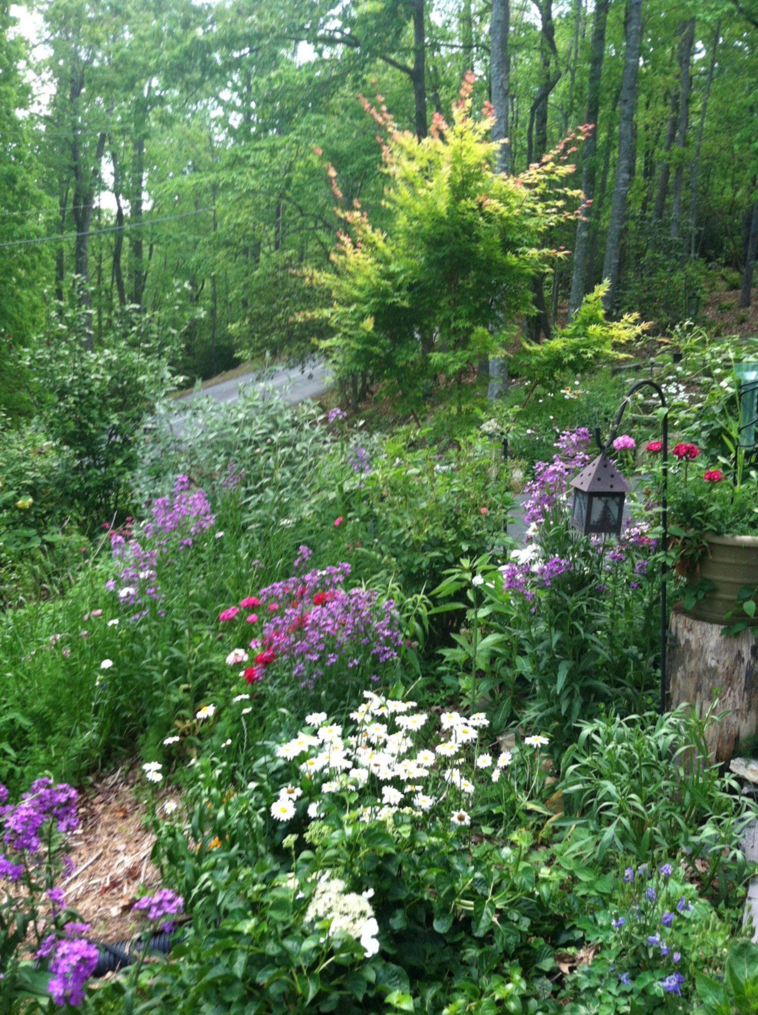 Low Maintenance Woodland Garden Ideas Photograph Garden Th