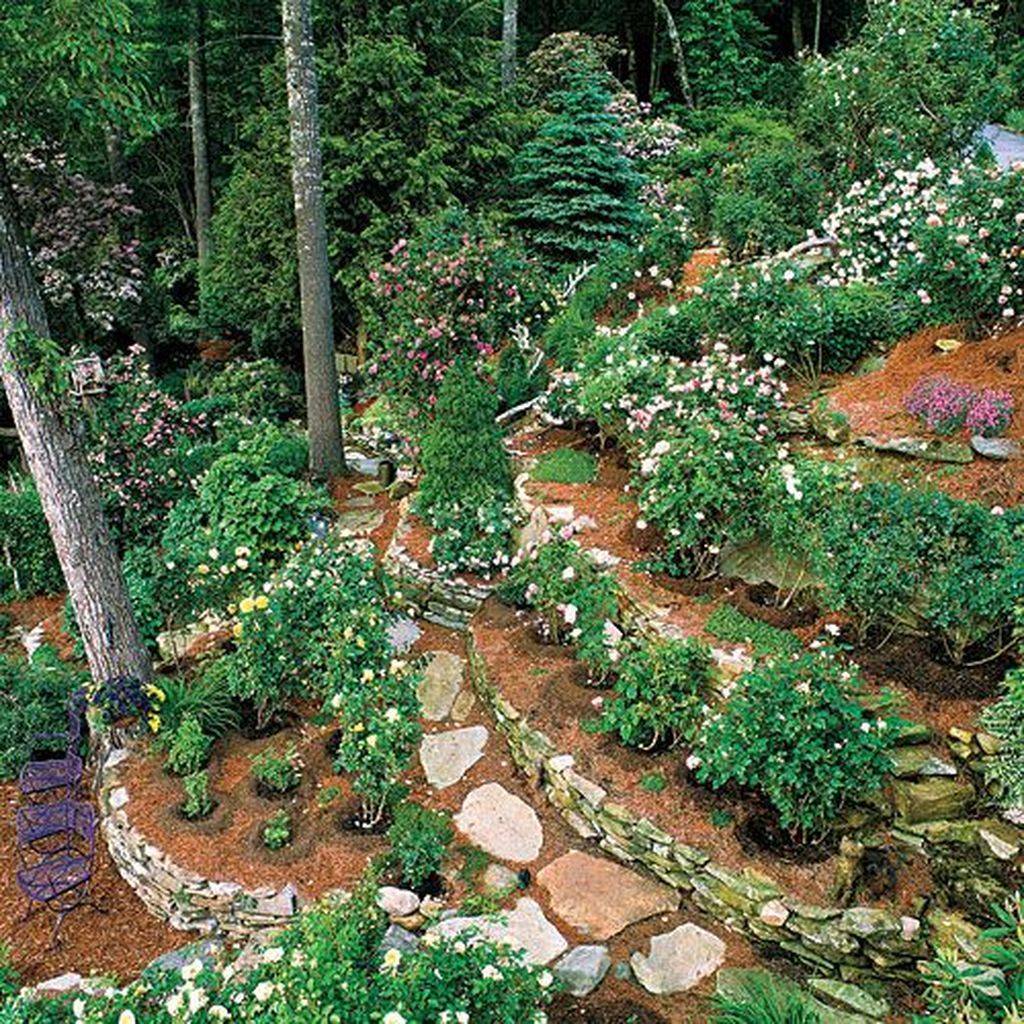 Superb Mountain Garden Landscaping Ideas Houz Buzz