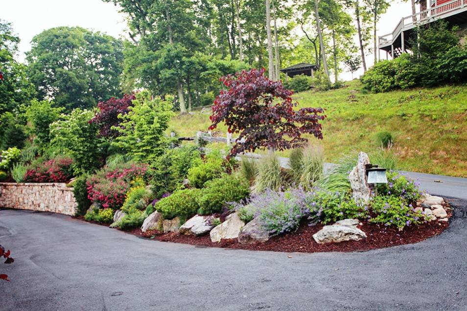 A Southern Mountain Garden