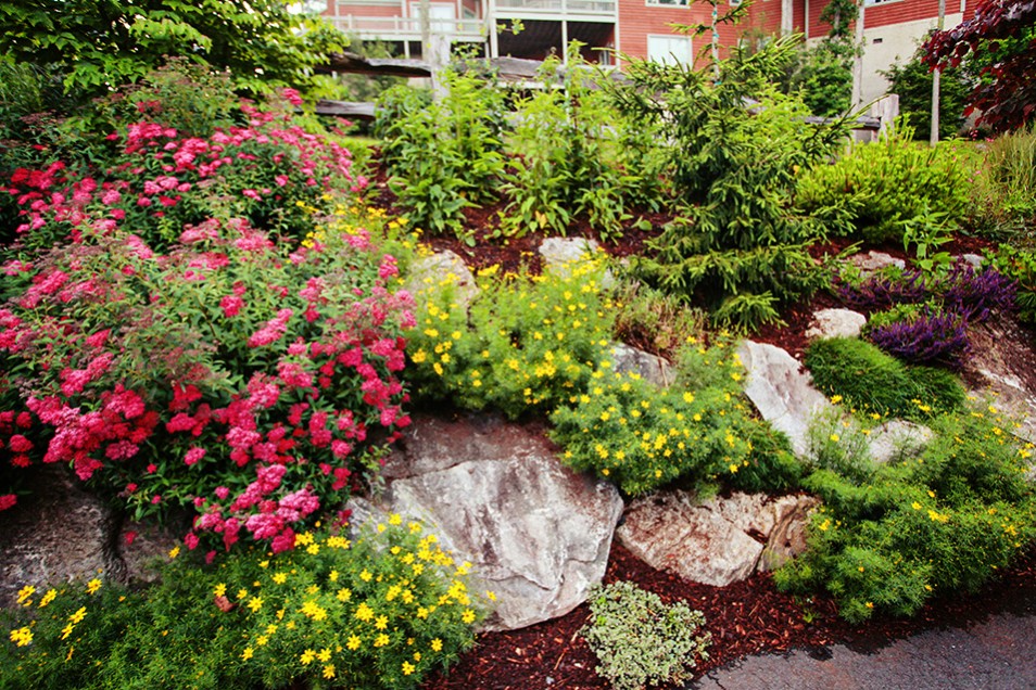 Mountain Perennial Garden Betty Ford Alpine Gardens