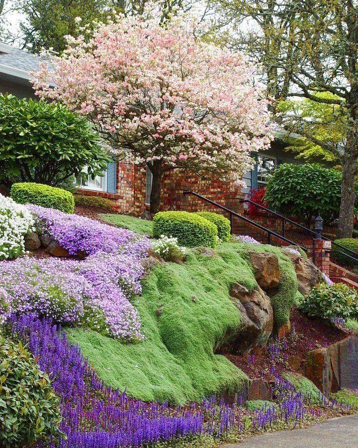 Bank Landscape Ideas Image