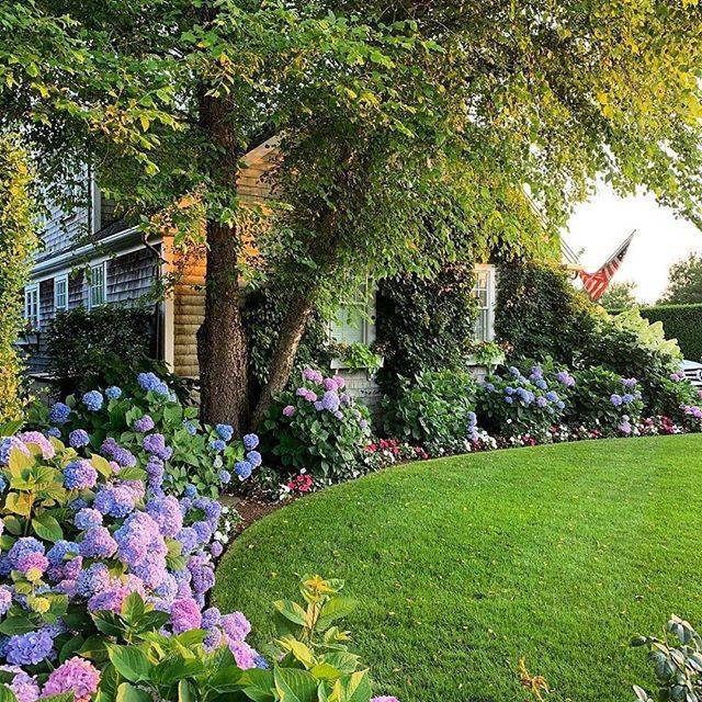 Square Foot Gardens