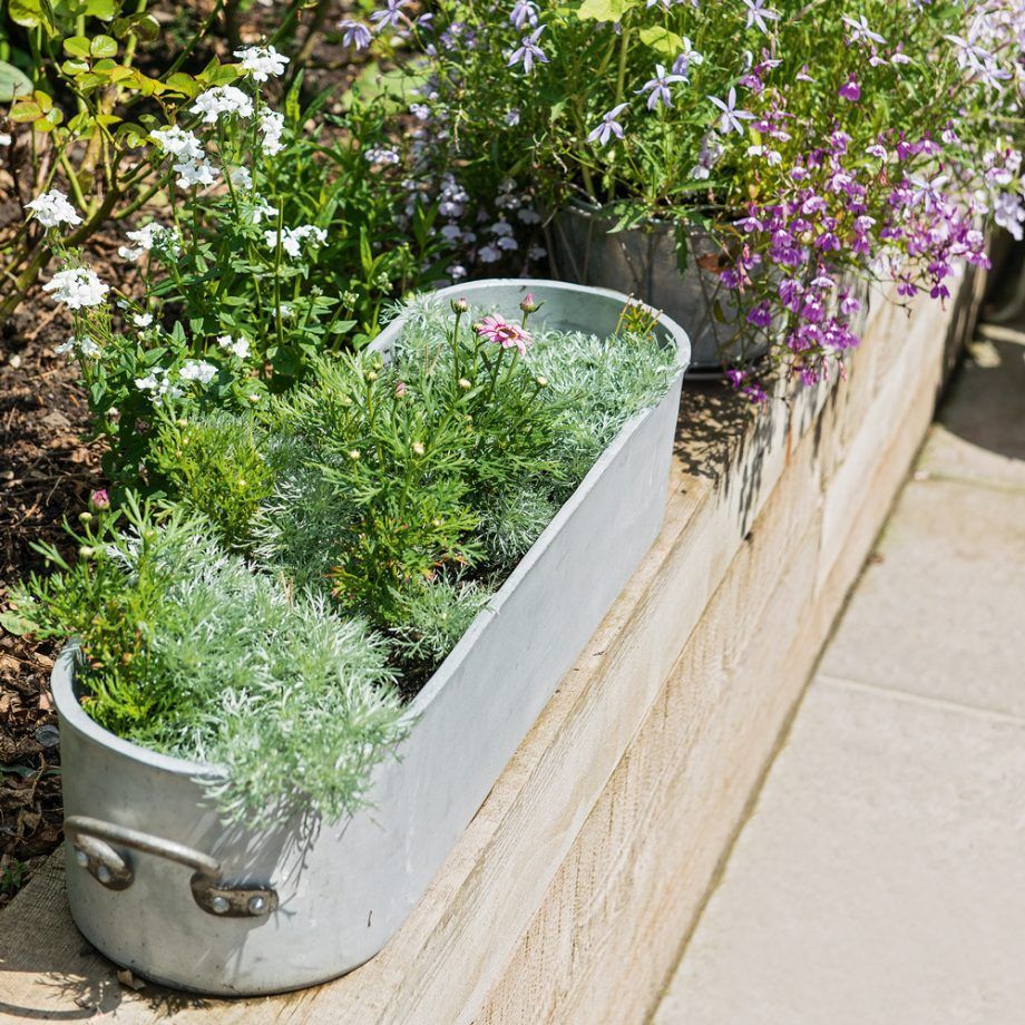 A Hill Bank Steep Slope Gardening Forums
